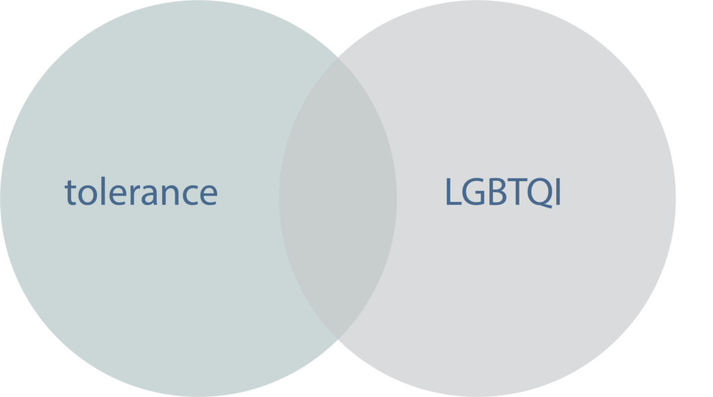 Insights from the dashboard: LGBTQI and tolerance