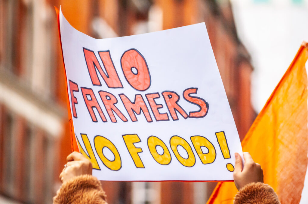 Dutch farmer protests
