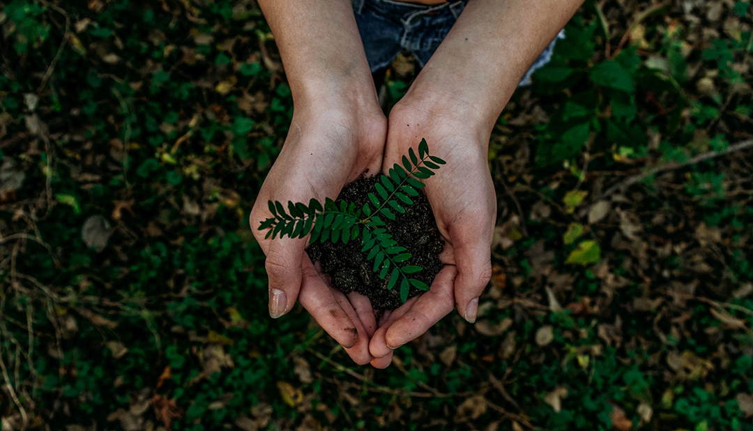 What Is The Relationship Between Religion And Environment? - EARS